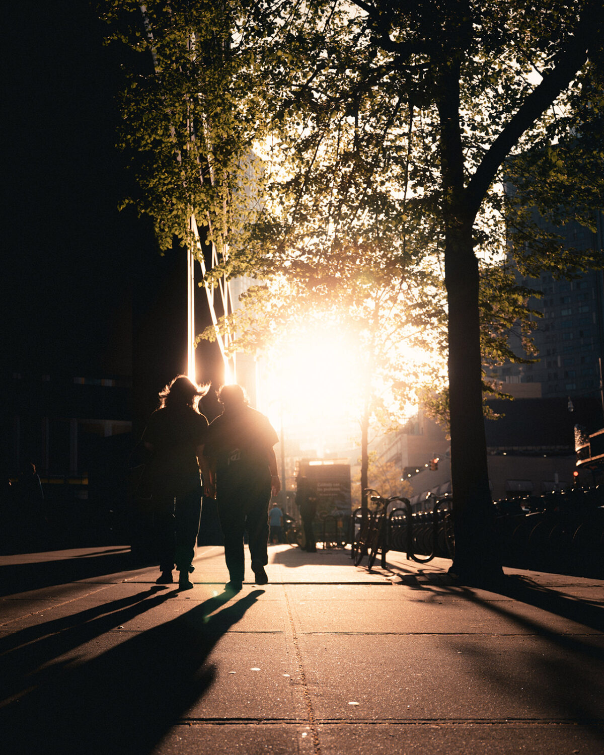 Two people walk along a tree-lined path in golden evening light, their long shadows stretching forward on the pavement.